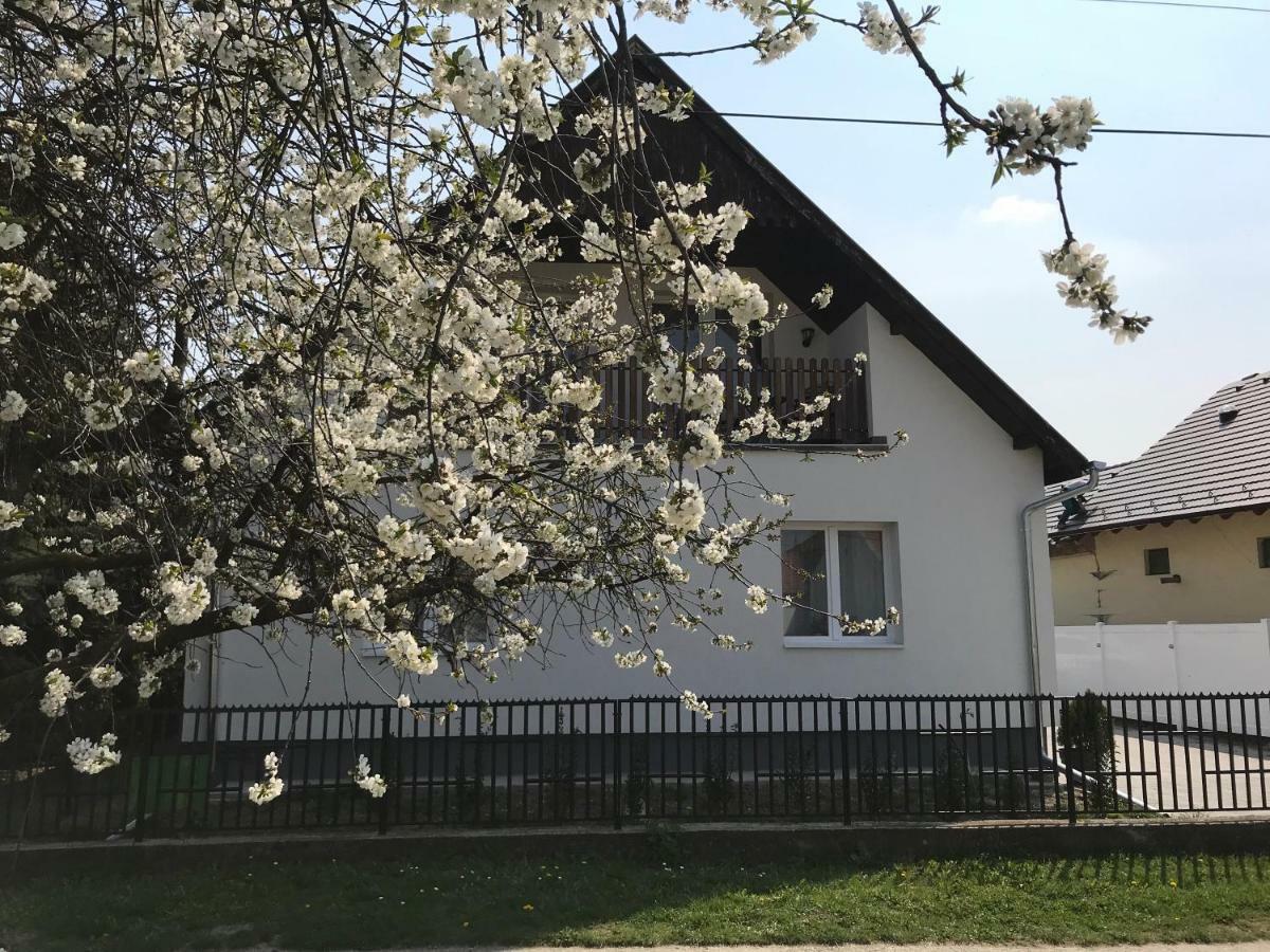 Hotel Szép Napot Vendégház à Tordas Extérieur photo
